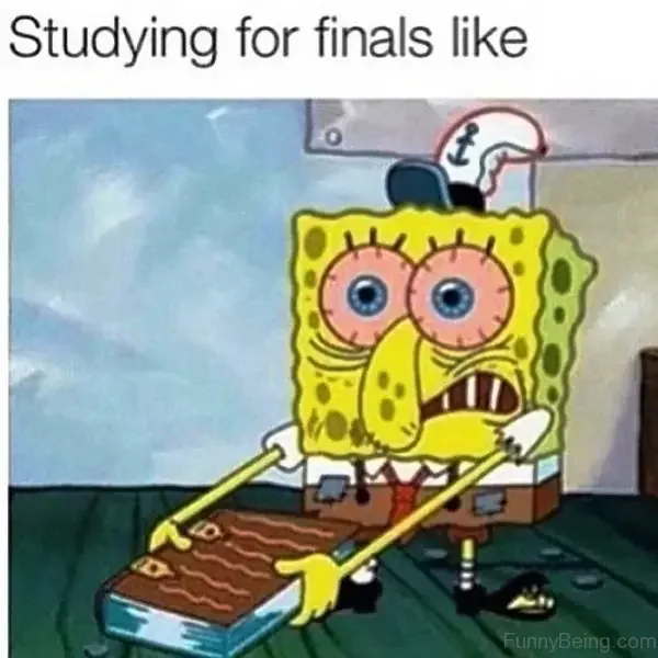 toy studying finals like funnybeingcom 250+ SpongeBob Memes of All Time