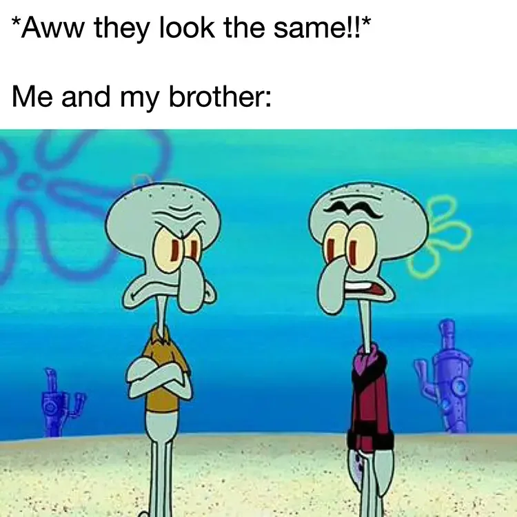 021 twin brothers meme 135+ Best Squidward Memes of All Time