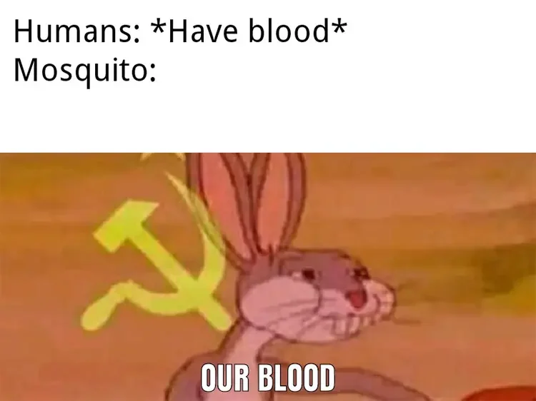 028 bugs blood meme 60+ Best Bugs Bunny Memes of All Times