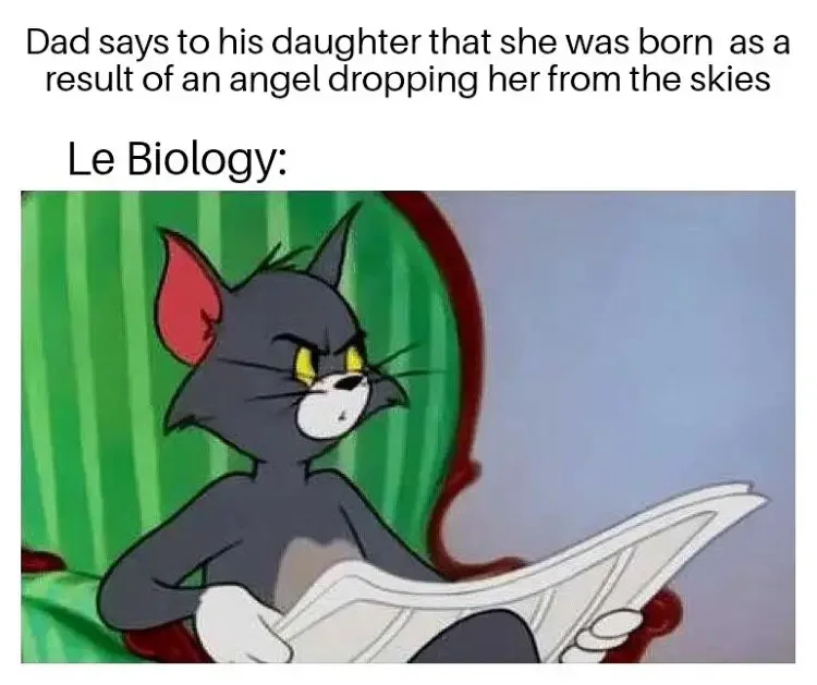 035 tom and jerry meme 200+ Best Tom And Jerry Memes