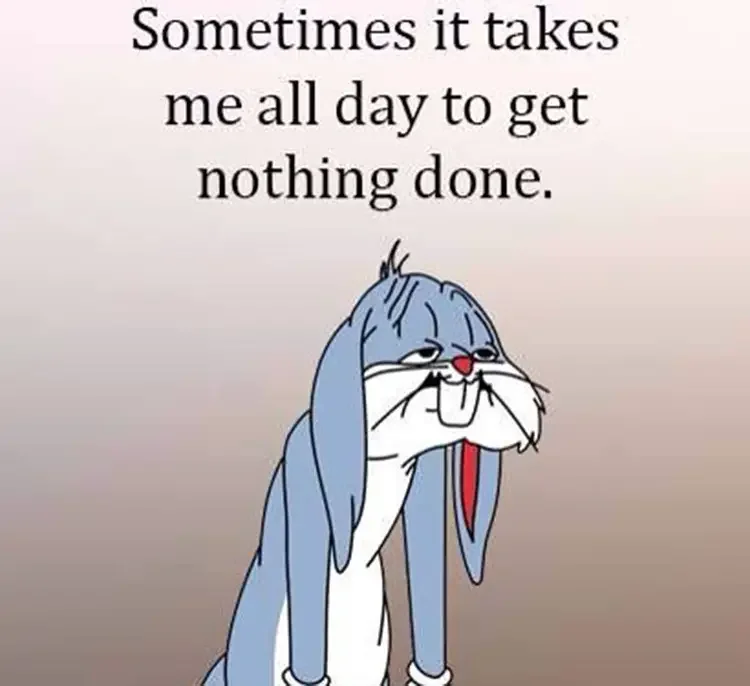 051 bugs takes all day meme 60+ Best Bugs Bunny Memes of All Times
