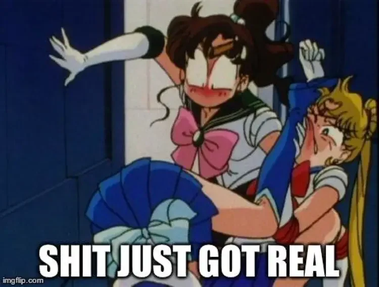 051 sailor moon meme 90+ Best Sailor Moon Memes of All Time