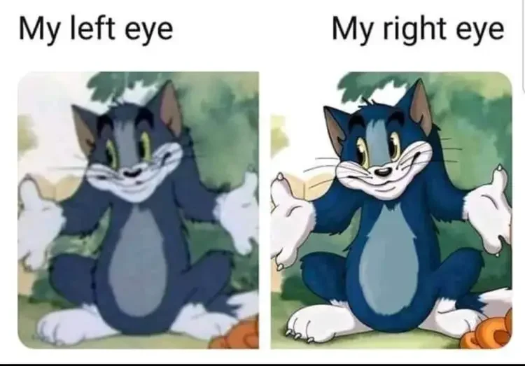 055 tom and jerry blurred eyes meme 200+ Best Tom And Jerry Memes