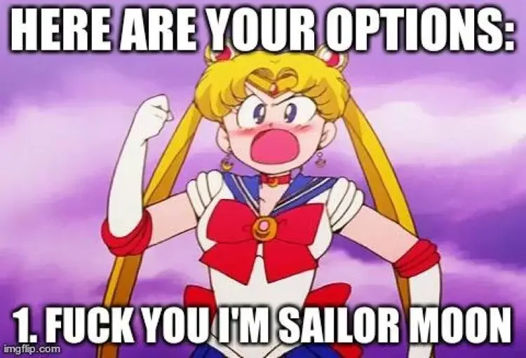 061 sailor moon meme 90+ Best Sailor Moon Memes of All Time