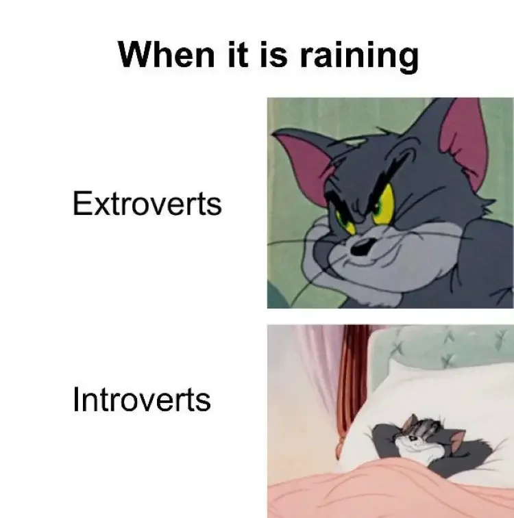 066 tom and jerry introvert vs extrovert meme 200+ Best Tom And Jerry Memes