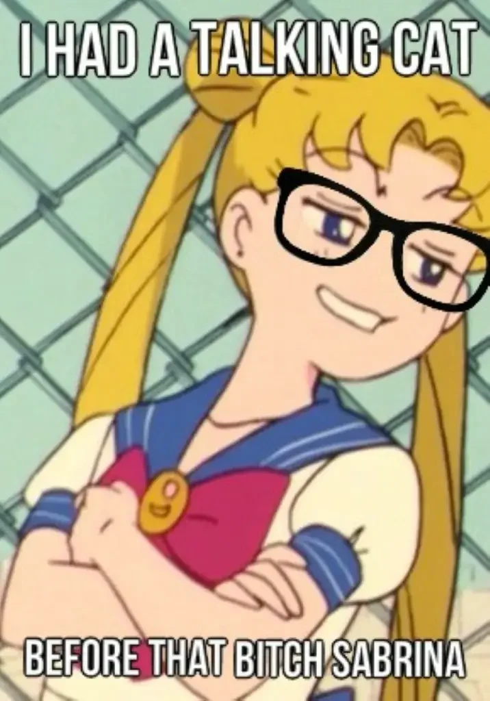 070 sailor moon talking cat meme 90+ Best Sailor Moon Memes of All Time
