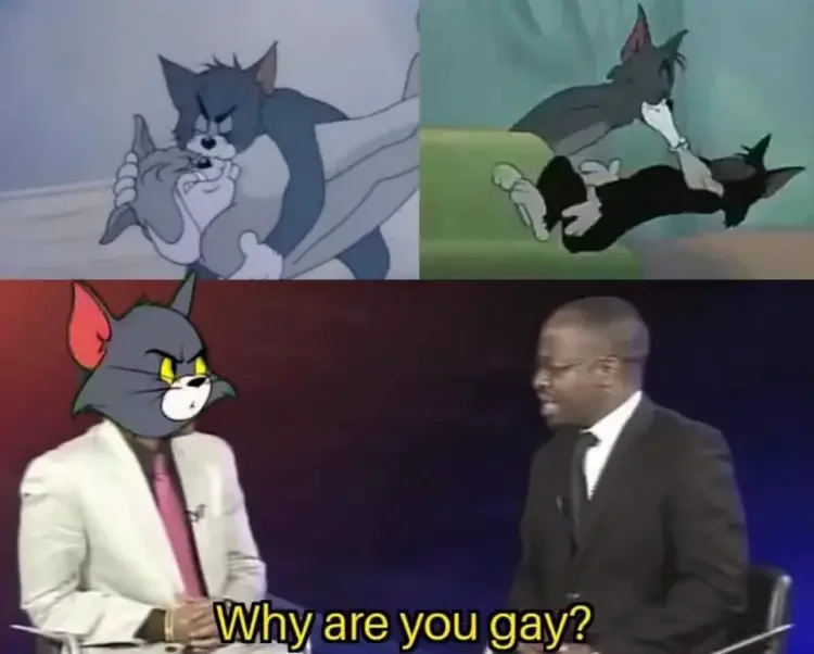 071 tom and jerry gay meme 200+ Best Tom And Jerry Memes