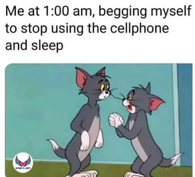074 tom and jerry sleep meme 200+ Best Tom And Jerry Memes