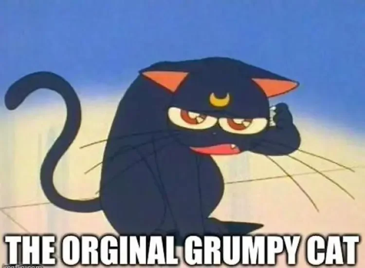 078 sailor moon grumpy cat meme 1 90+ Best Sailor Moon Memes of All Time