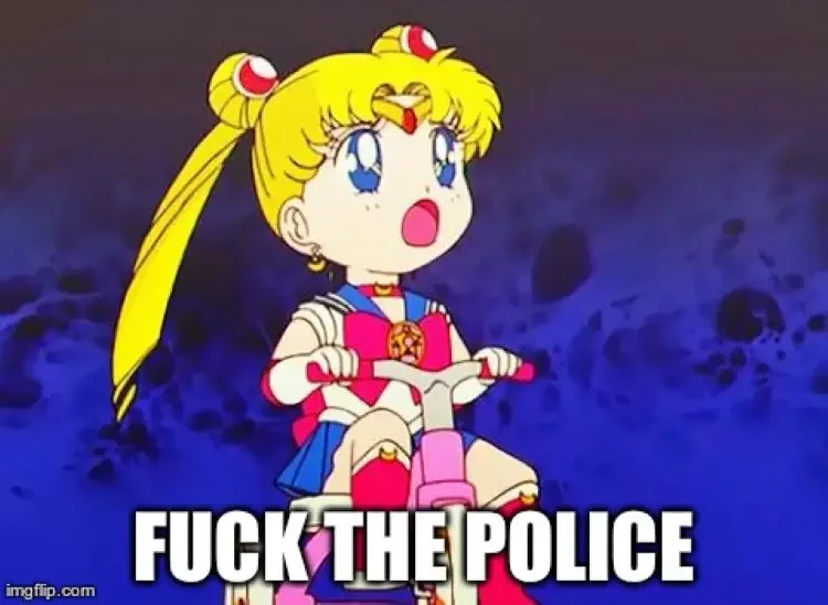 079 sailor moon meme 90+ Best Sailor Moon Memes of All Time