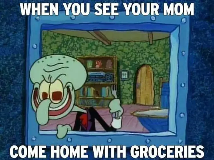 104 mom has groceries meme 135+ Best Squidward Memes of All Time
