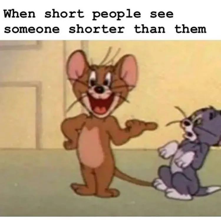 122 tom and jerry short people meme 200+ Best Tom And Jerry Memes