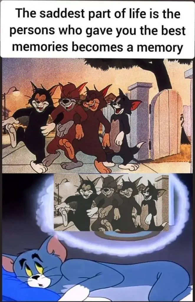 141 tom and jerry meme 200+ Best Tom And Jerry Memes