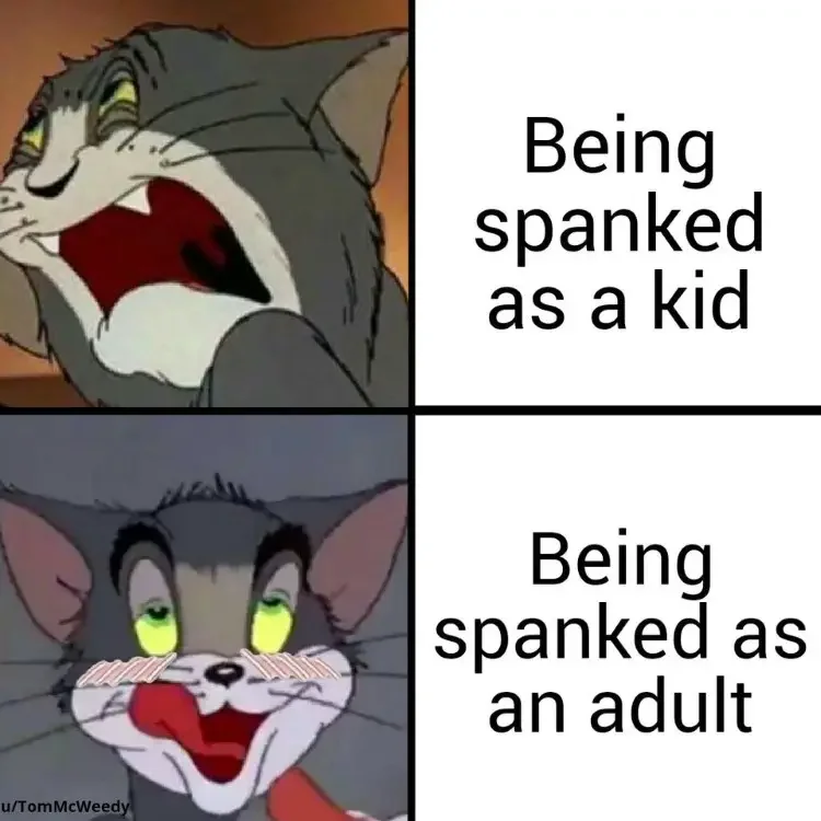 151 tom and jerry being spanked meme 200+ Best Tom And Jerry Memes