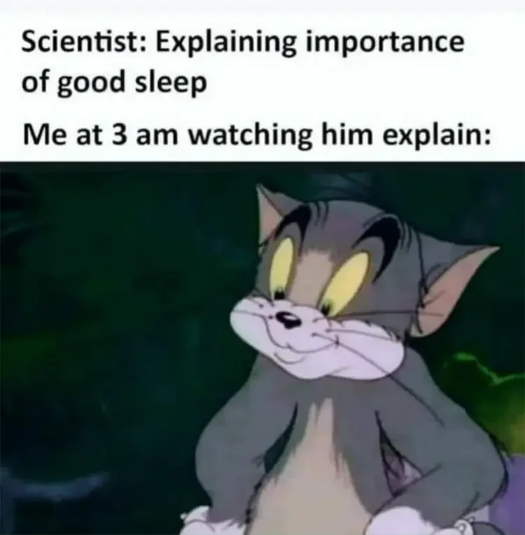 162 tom jerry staying up until 3am sleep meme 200+ Best Tom And Jerry Memes