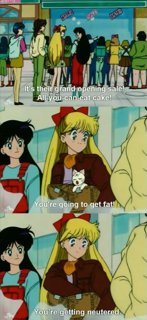 556d8ae7eafb1 90+ Best Sailor Moon Memes of All Time