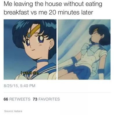 55f544592064b 90+ Best Sailor Moon Memes of All Time