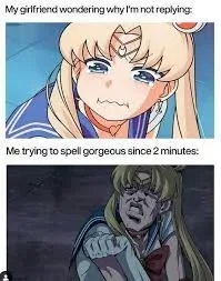 632c880711a4c 90+ Best Sailor Moon Memes of All Time