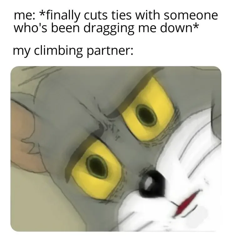 cuts ties with someone whos been dragging me down my climbing partner above a pic of unsettled tom 200+ Best Tom And Jerry Memes