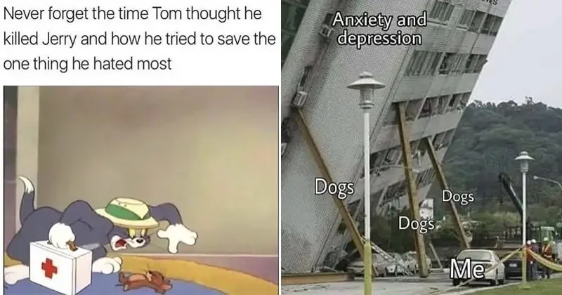 funny memes wholesome memes animal memes 200+ Best Tom And Jerry Memes