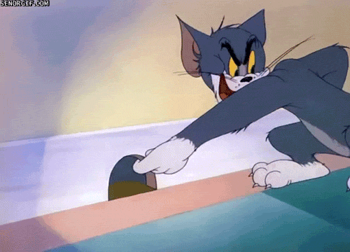 mousetrap 200+ Best Tom And Jerry Memes