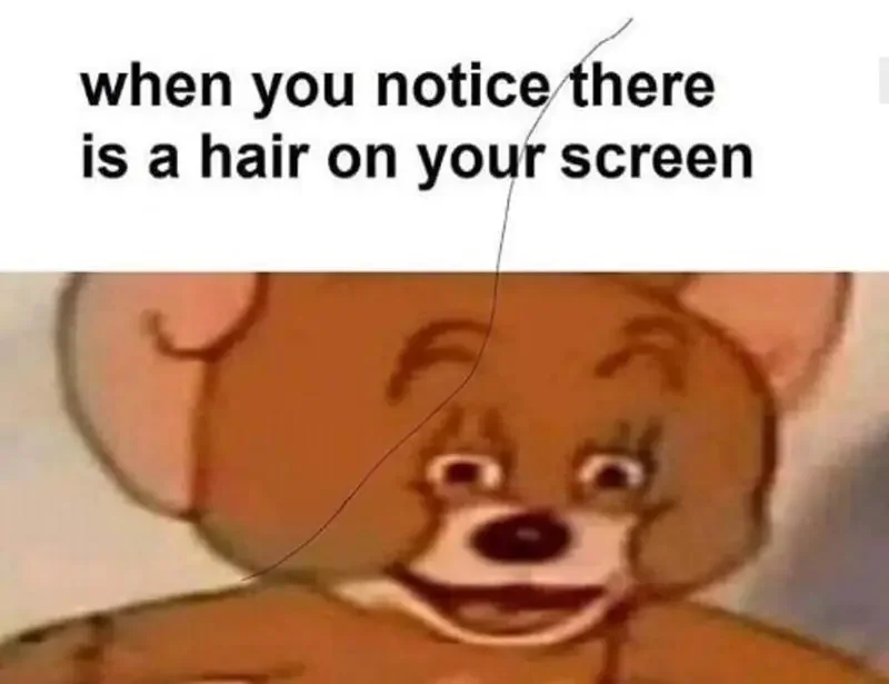 there is a hair on your screen above an image of jerry from tom and jerry and a hair on the screen 200+ Best Tom And Jerry Memes