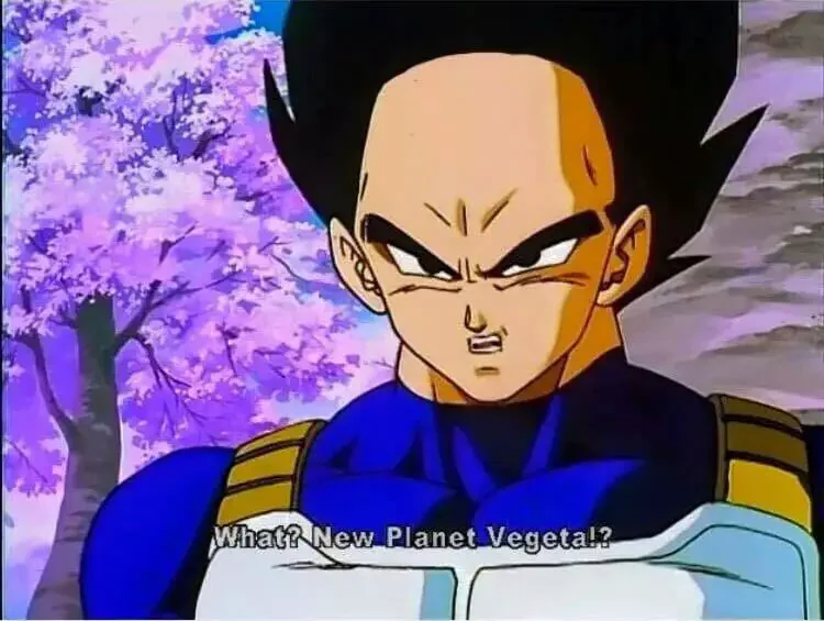 Vegeta without his widows peak 17 Strongest Anti-Heroes Anime Characters