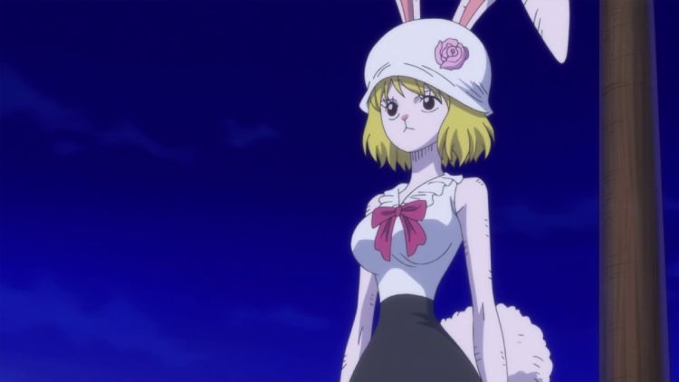 carrot 28 Adorable Anime Bunny Girls Of All Time