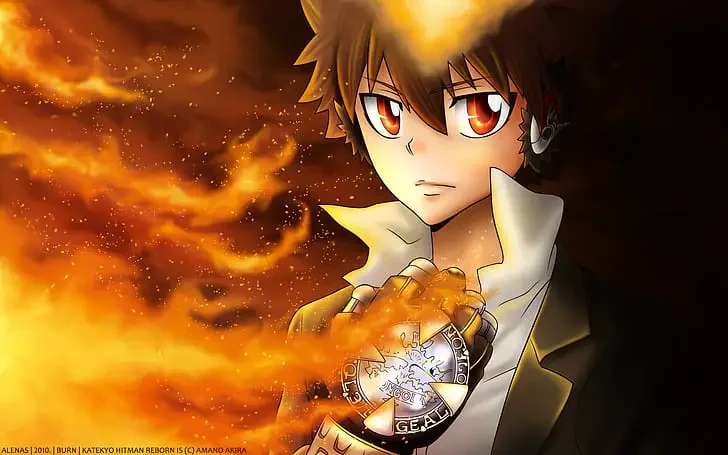 Tsunayoshi Sawada fire powers 15 Best Anime Characters With Fire Powers
