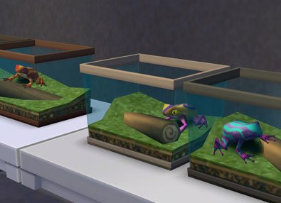 breed frogs 3 Sims 4: How to Collect and Breed Frogs