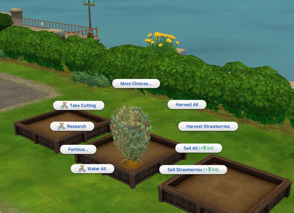 grow strawberries care Grow Strawberries In The Sims 4