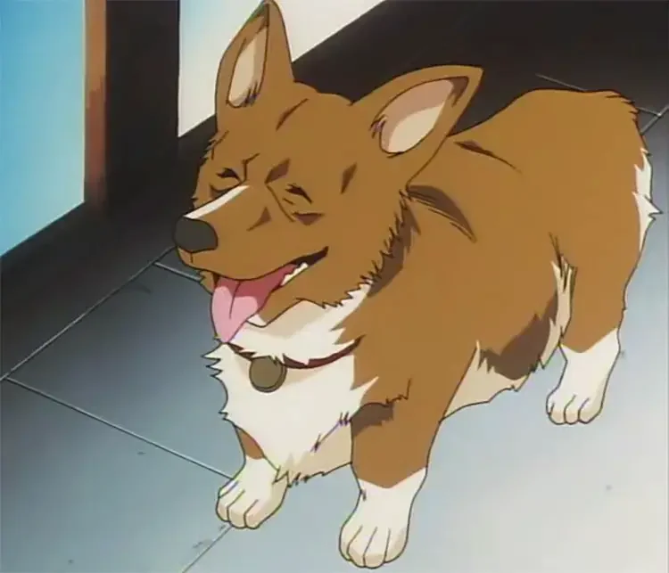 02 ein cowboy bebop anime 18 Best Anime Dogs