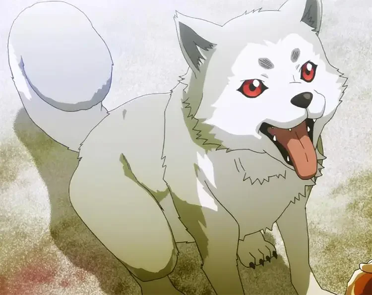 08 koromaru persona 3 anime 18 Best Anime Dogs