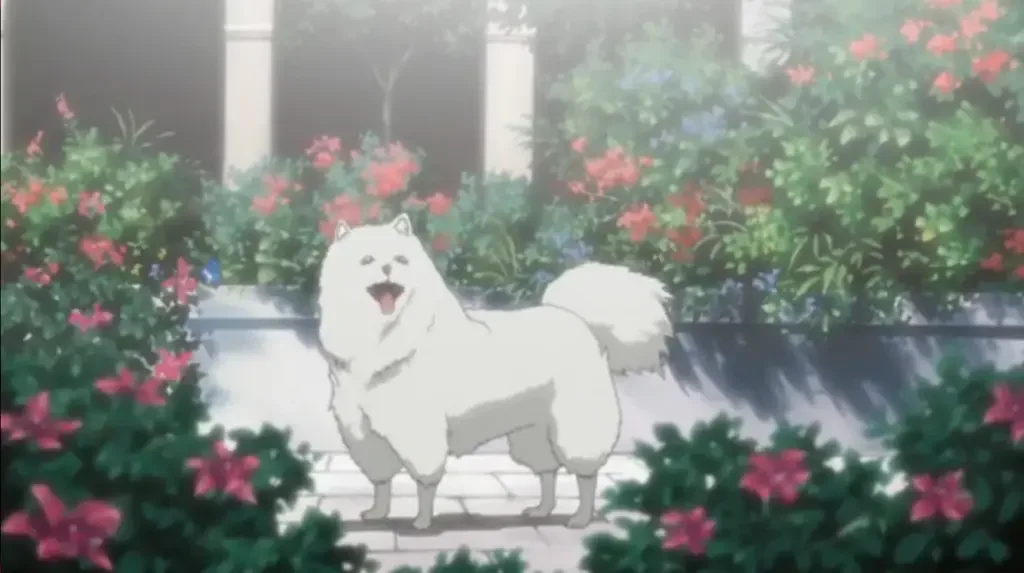 1 18 Best Anime Dogs