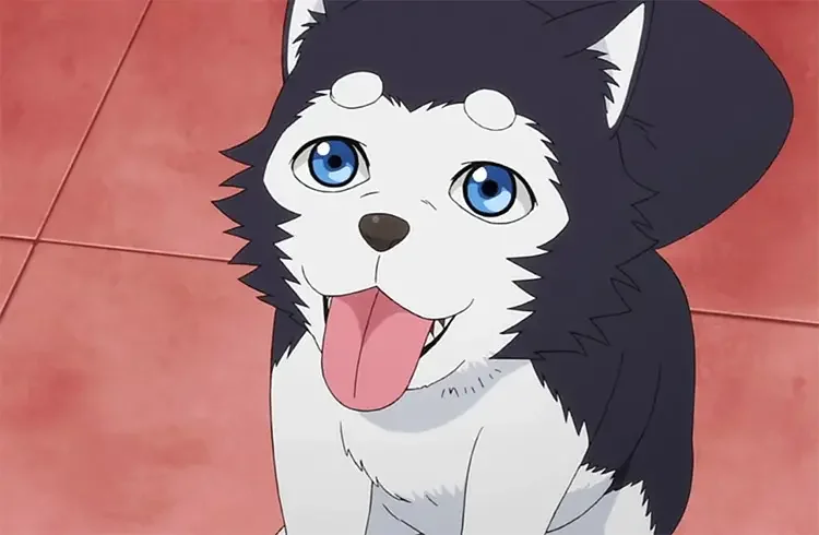 10 tatsuya 2 kuroko no basket anime 1 18 Best Anime Dogs
