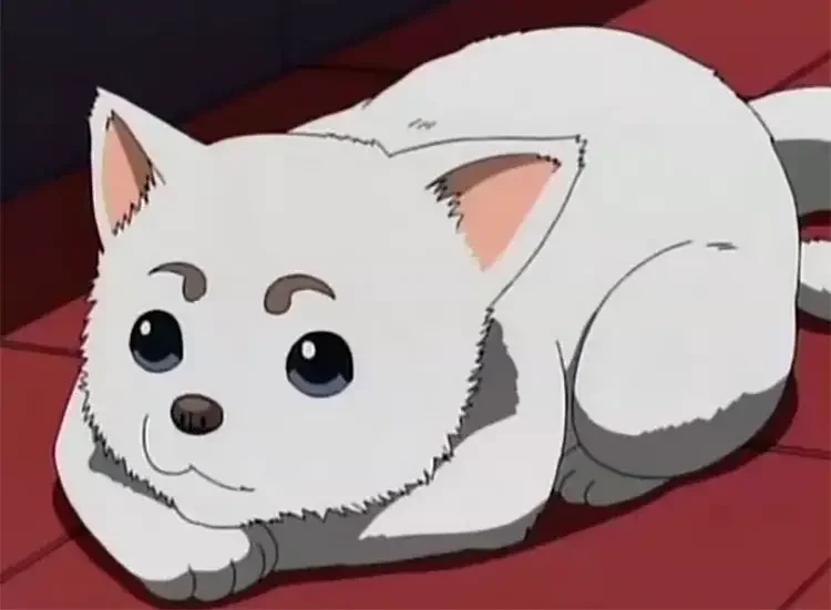 11 sadaharu gintama anime 18 Best Anime Dogs