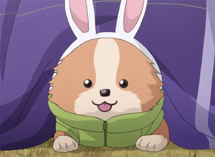 21 chikuwa yuru camp anime 18 Best Anime Dogs