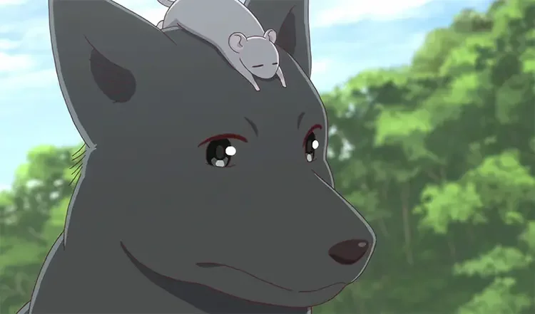 23 shigure souma fruits basket anime 18 Best Anime Dogs