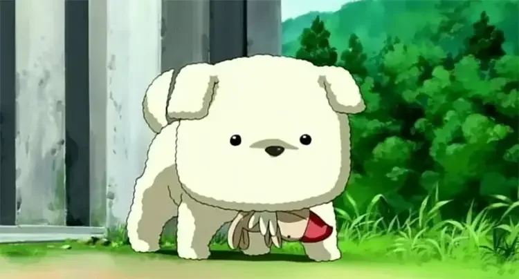 24 potato air anime dog 18 Best Anime Dogs