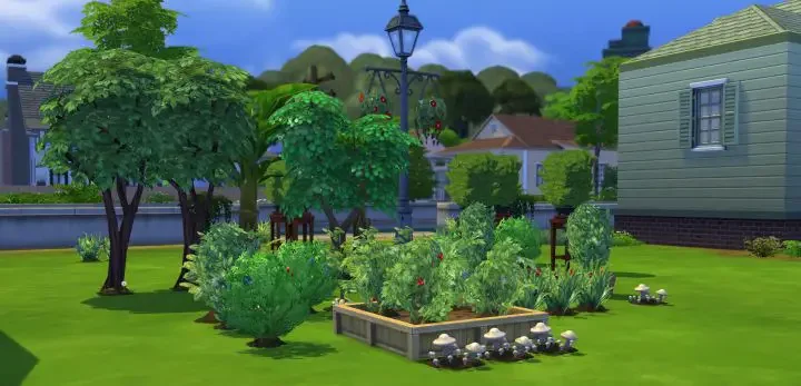Uproot Plant 3 1 Sims 4: Guide To Uproot Plants