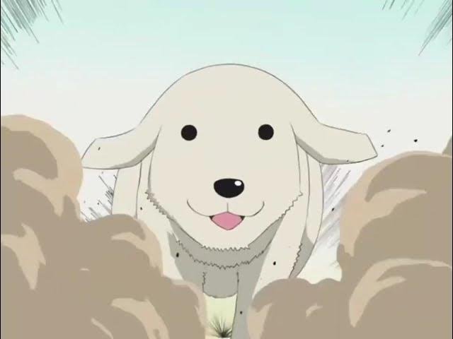sddefault 18 Best Anime Dogs