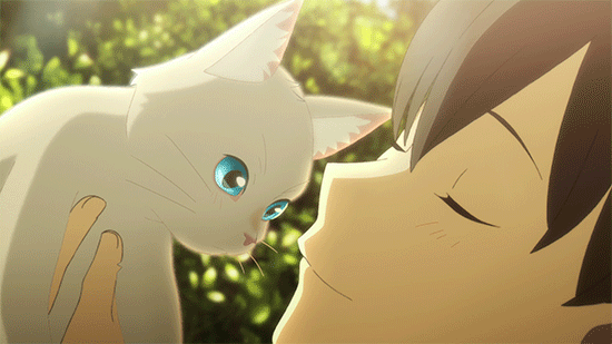 A Whisker Away 23 Best Anime Studios Of All Times